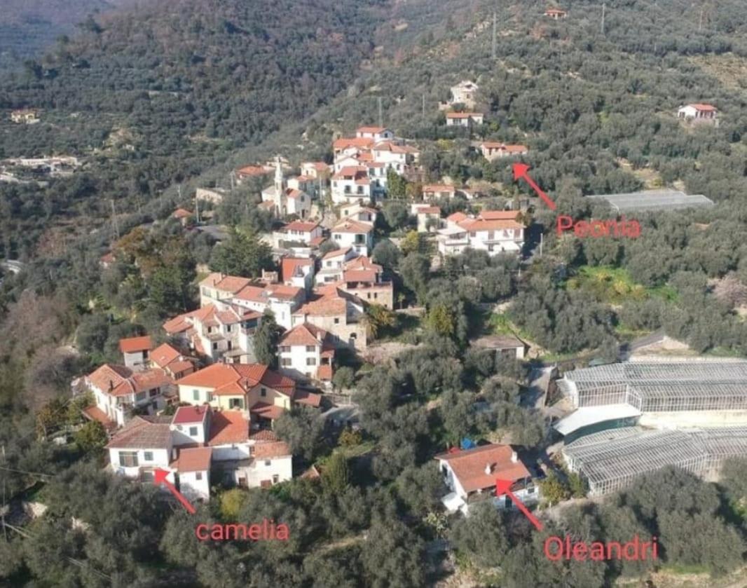 Uliveto Villa Diano San Pietro Buitenkant foto